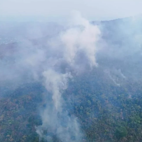 Fuego sigue sin control en Mitla y Díaz Ordaz; 24 incendios activos consumen bosques de Oaxaca